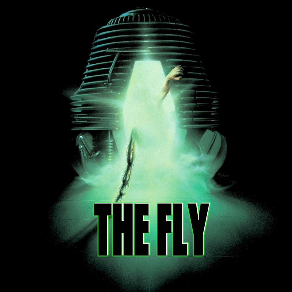 THE FLY (COASTER)